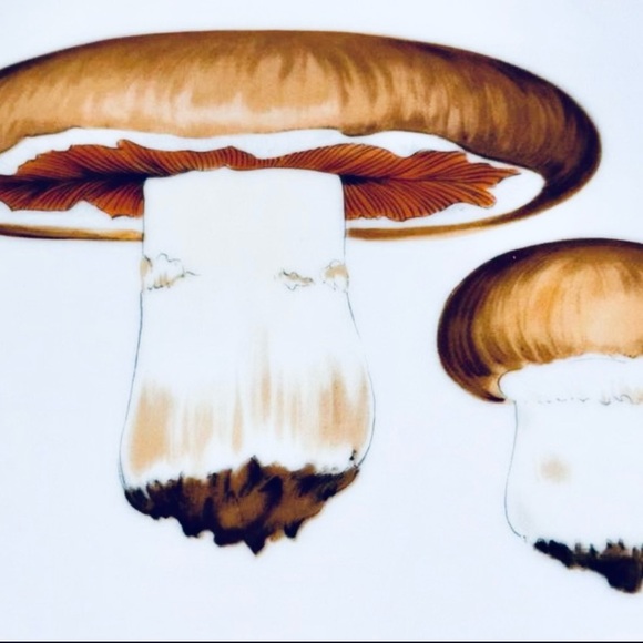 Copenhagen Porcelain B&G Mushroom Trivet Wall Plate Bing Grondahl Vintage Danish - Picture 3 of 4